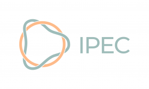 International Psychosis Epidemiology Consortium